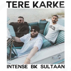 Tere Karke BK, Sultaan(Mobwap.site) Mp3 Song