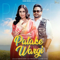 Patake Wargi Gurmukh Doabia(Mobwap.site) Mp3 Song