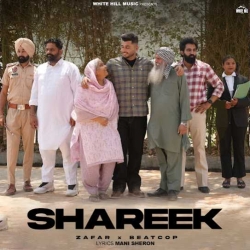 Shareek Zafar(Mobwap.site) Mp3 Song