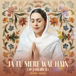 Ja Tu Mere Wal Hain Jenny Johal(Mobwap.site) Mp3 Song