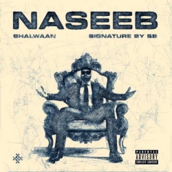 Naseeb - Bhalwaan(Mobwap.site) Mp3 Song