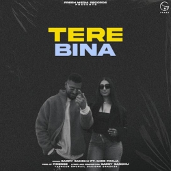 Tere Bina Garry Sandhu(Mobwap.site) Mp3 Song