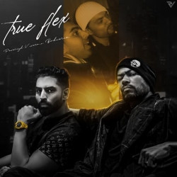 True Flex Parmish Verma(Mobwap.site) Mp3 Song