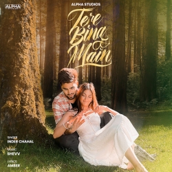 Tere Bina Main Inder Chahal(Mobwap.site) Mp3 Song