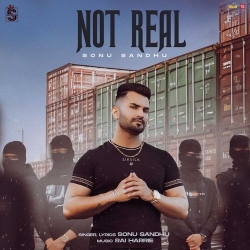 Not Real Sonu Sandhu(Mobwap.site) Mp3 Song