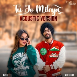 Tu Jo Mileya (Acoustic Version)(Mobwap.site) Mp3 Song