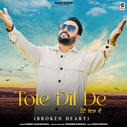 Tote Dil De Hardev Mahinangal(Mobwap.site) Mp3 Song