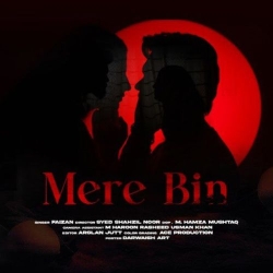 Mere Bin Faizu Ghafari(Mobwap.site) Mp3 Song