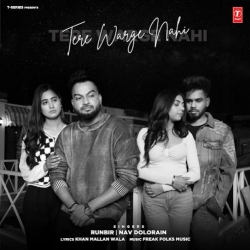 Tere Warge Nahi Nav Dolorain(Mobwap.site) Mp3 Song