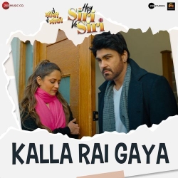 Kalla Rai Gaya Amit Gupta Mp3 Song